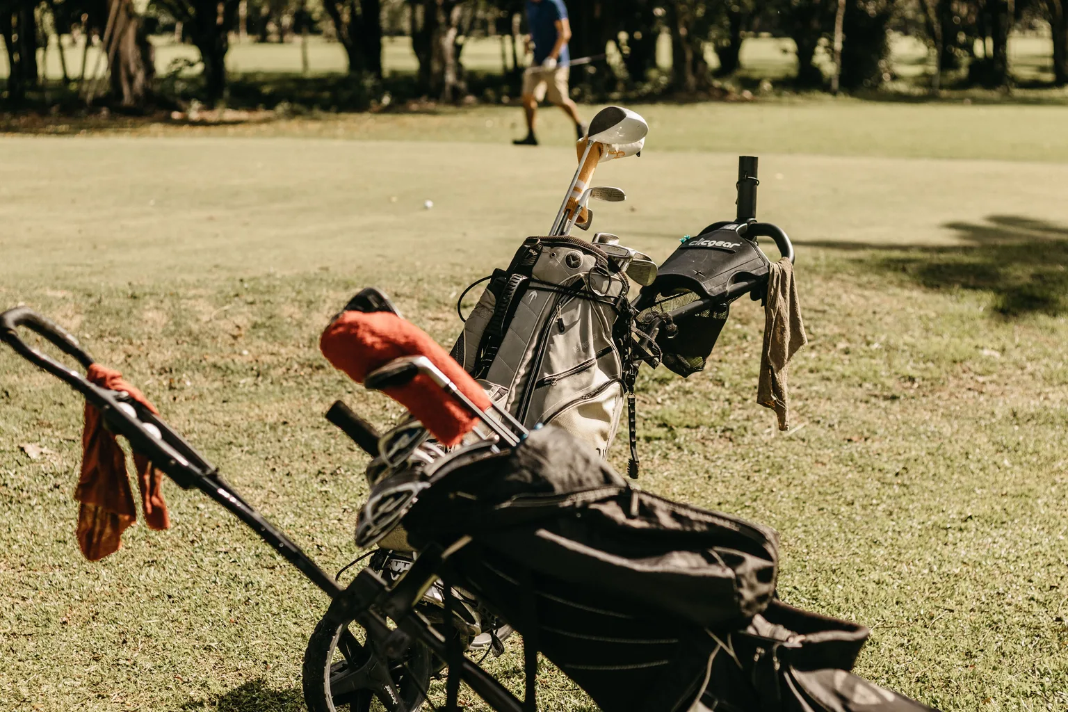 Golf bag and clubs on grass beside a course