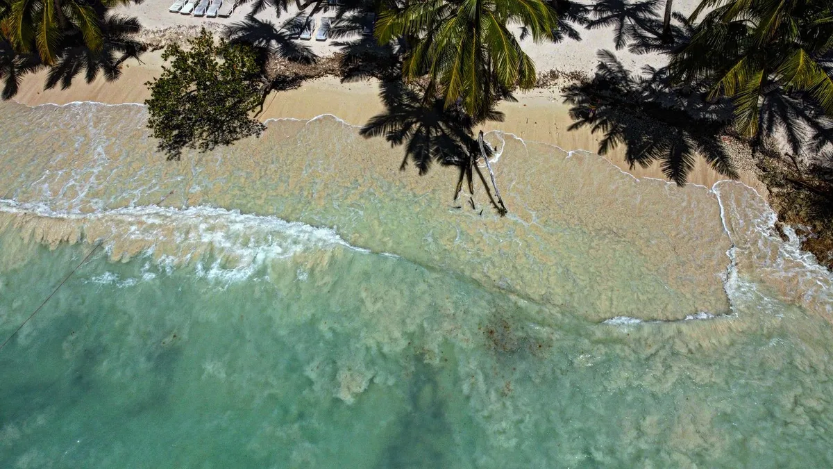 La Altagracia beach with palms and clear water in the Dominican Republic