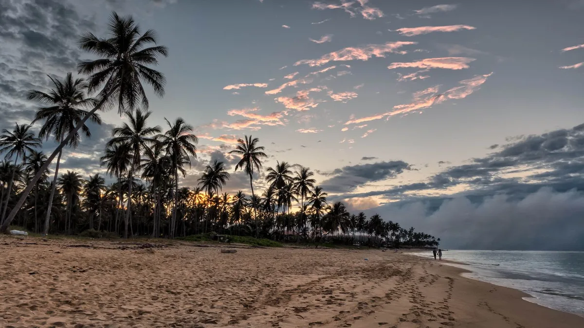 Palm-lined La Altagracia coast at sunset for return-transfer planning