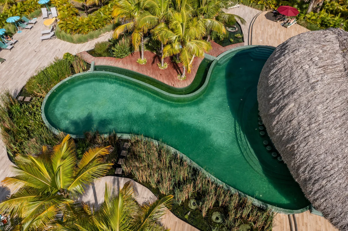 Aerial view of a curved pool and tropical grounds at Club Med Michès Playa Esmeralda