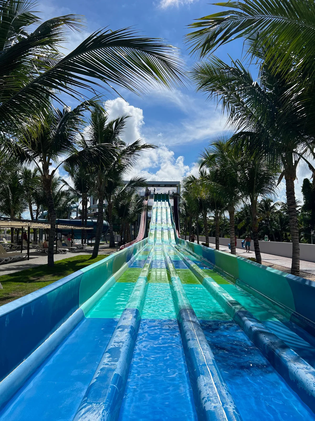 Water slide surrounded by palm trees in Punta Cana
