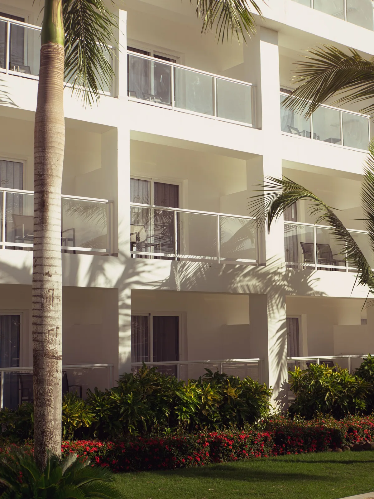Palm trees in front of a resort building in Punta Cana