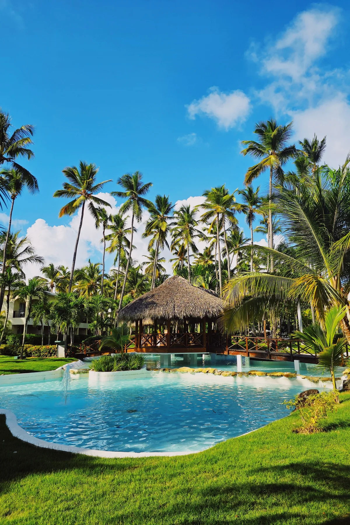 Resort pool surrounded by palms in Punta Cana