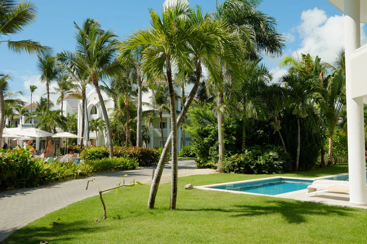 Tropical resort pool and lawn with palm trees in Punta Cana