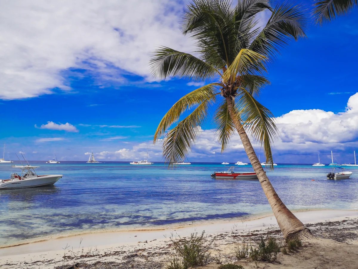 Palm, boats and turquoise water along the La Altagracia coast