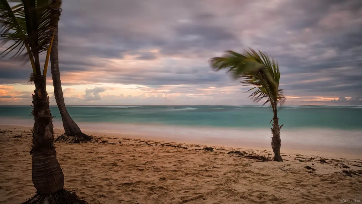 Palm trees beside the Punta Cana coast under a cloudy sunset sky