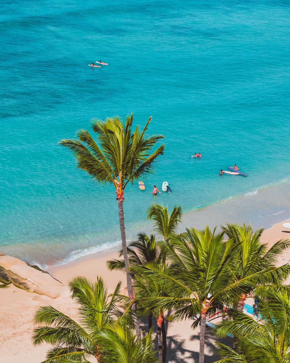 Surfers on a palm-lined Dominican Republic beach