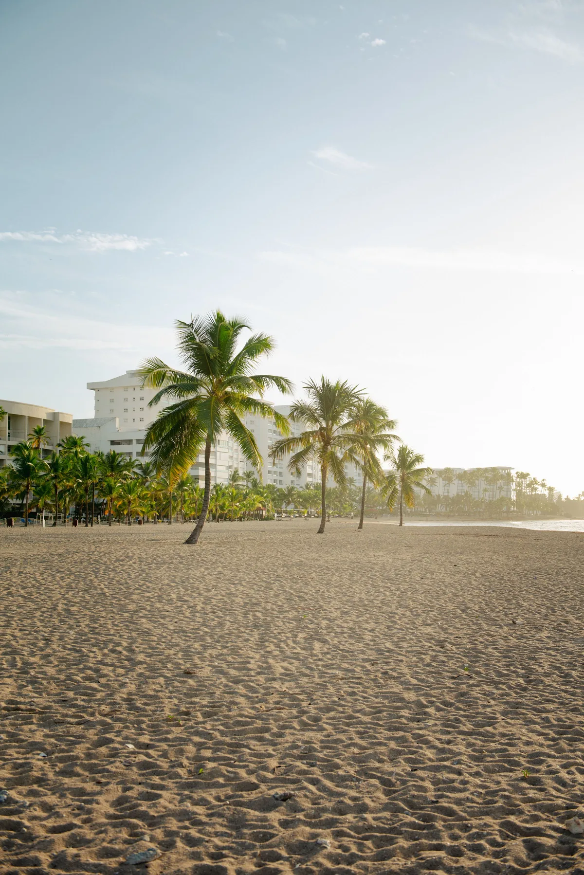 Dominican Republic beach with palms and a resort building in the distance