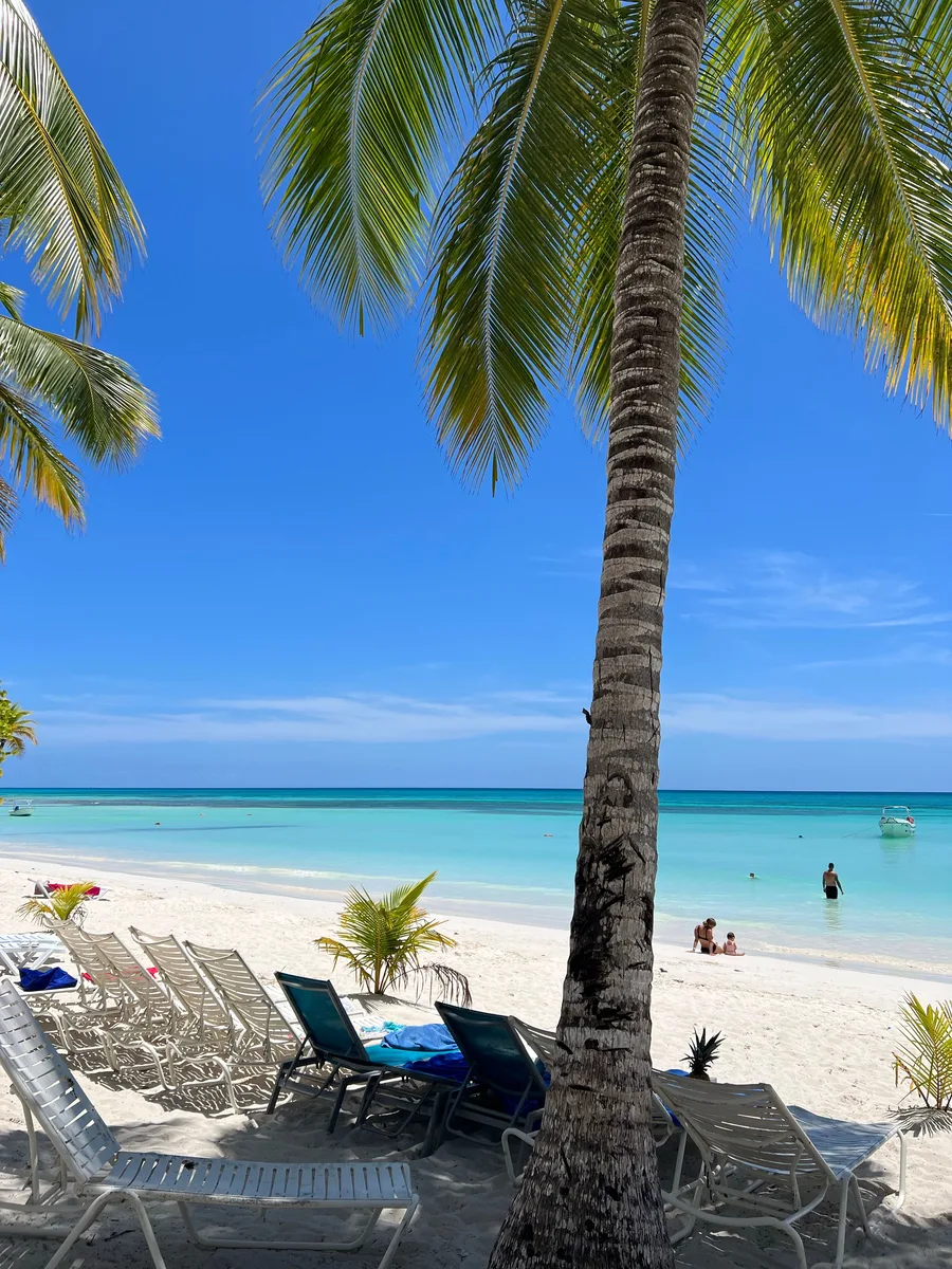 Palm-lined Caribbean beach in La Altagracia