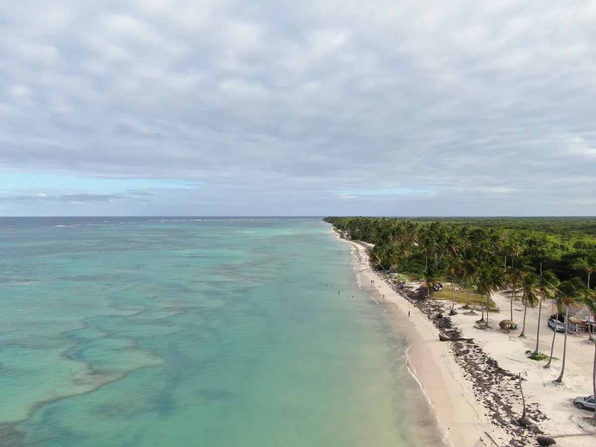 Palm-lined Dominican Republic coastline viewed from above
