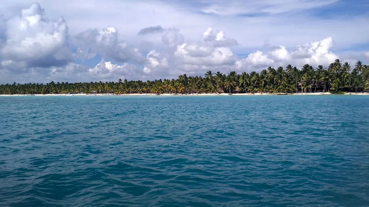Palm-fringed La Altagracia coastline under a blue sky