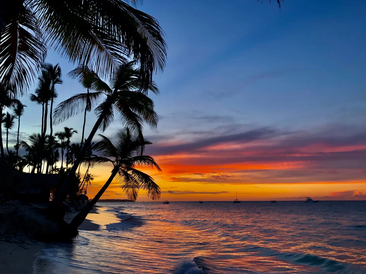 Palm-lined La Altagracia coast at sunset for return-transfer planning