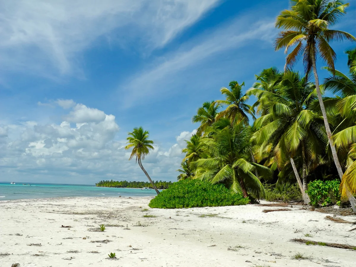Palm-lined tropical beach used as wider Caribbean coastal context