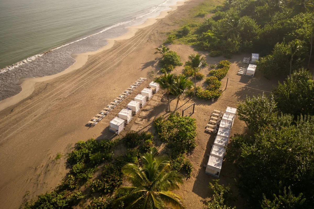 Beach, palms and rows of loungers at Marriott Miches Beach seen from above