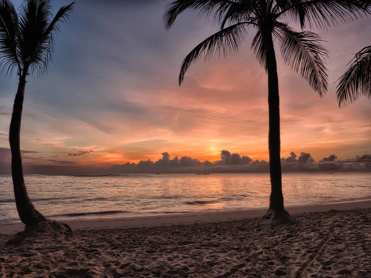 Palm-lined Punta Cana coast at sunset for return-transfer planning