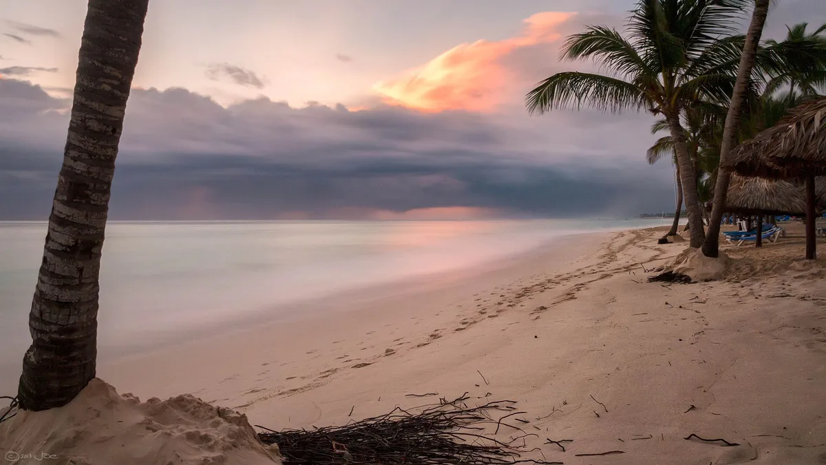 Palm tree beside a Punta Cana beach at orange sunset