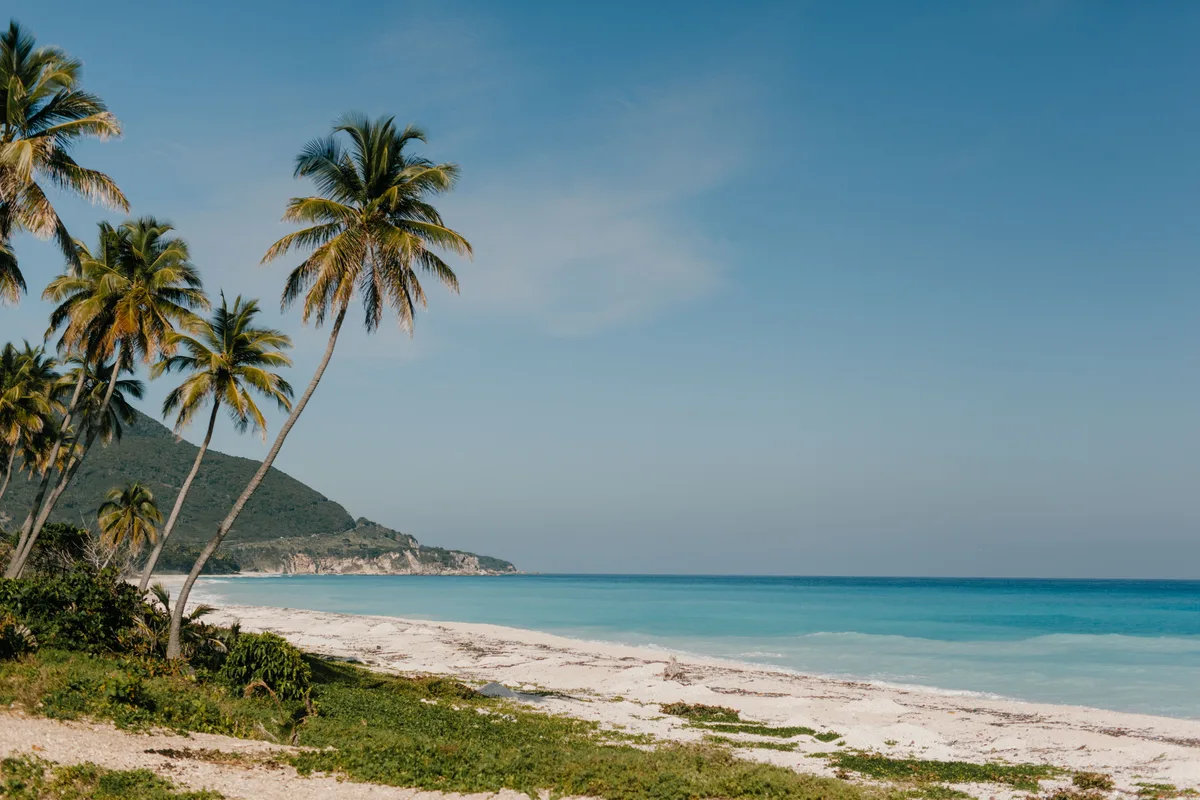 Palm-lined Dominican Republic coastline used as wider regional context