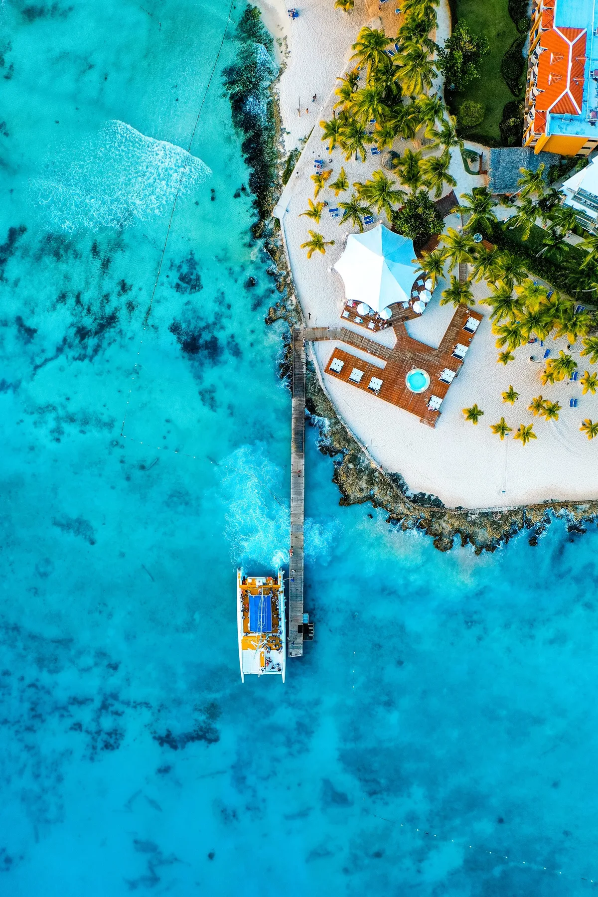 Palm-lined Caribbean coast in the Dominican Republic