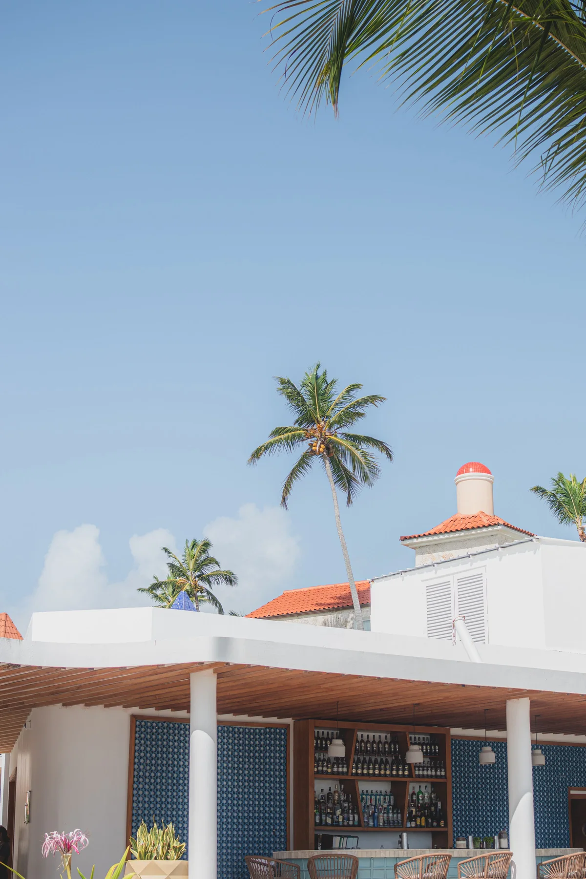 Open-air bar among palms in a Punta Cana setting