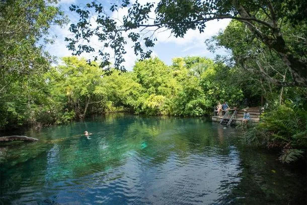 Freshwater lagoon and wooden swimming platform at Indigenous Eyes Ecological Reserve