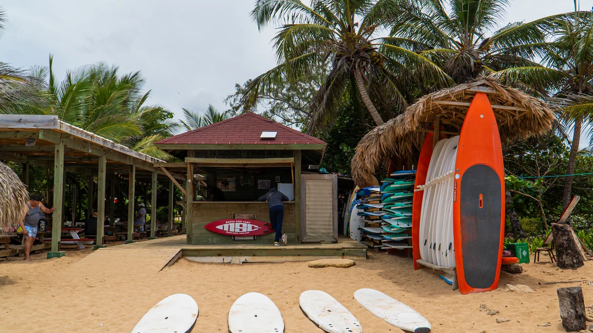 Surfboards outside a palm-shaded surf hut at Playa Macao