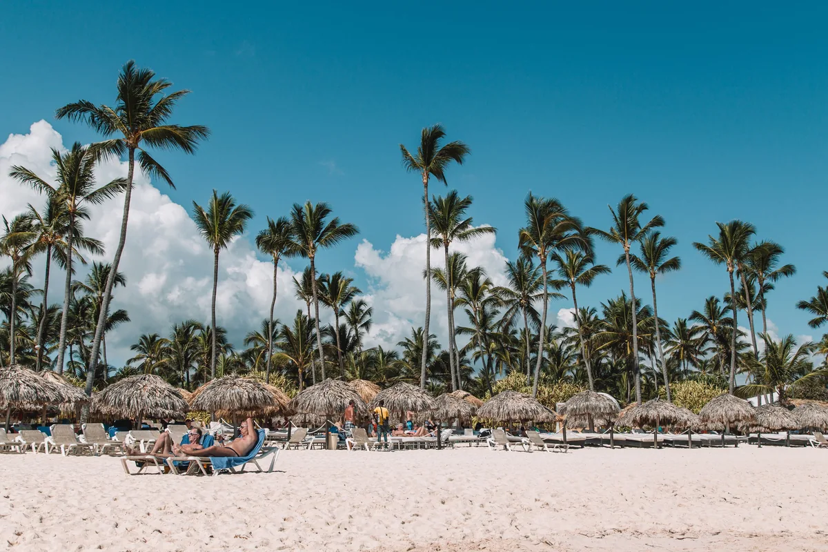 Palm-lined beach scene in Punta Cana for local transport-planning context