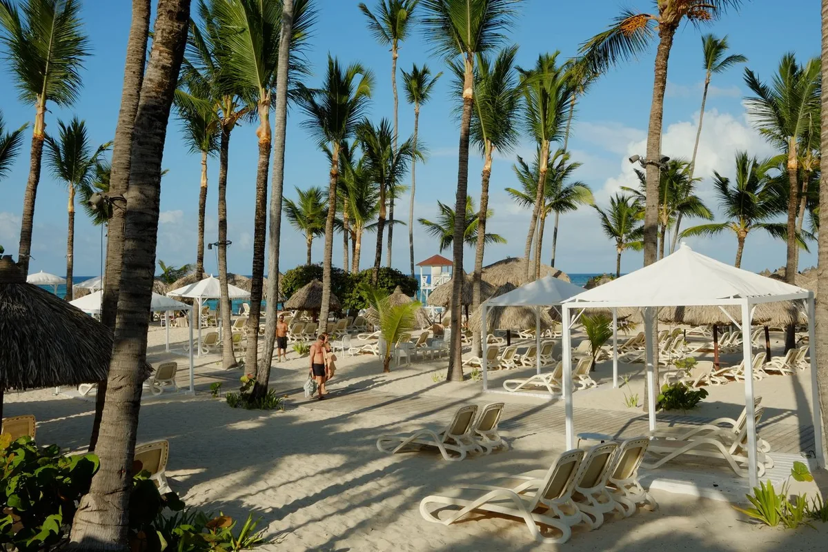 Palm-lined Punta Cana beach with lounge chairs and umbrellas