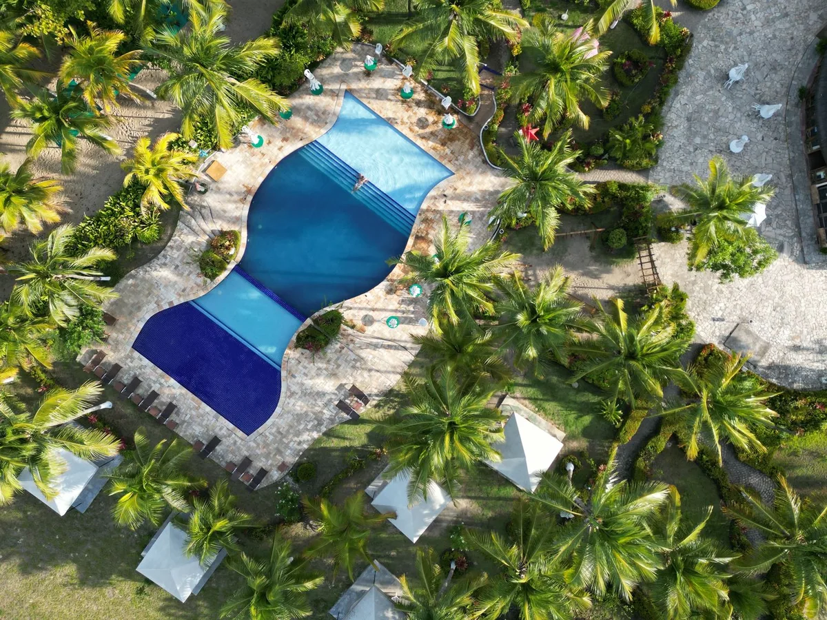 Aerial view of a resort pool surrounded by palms in Punta Cana