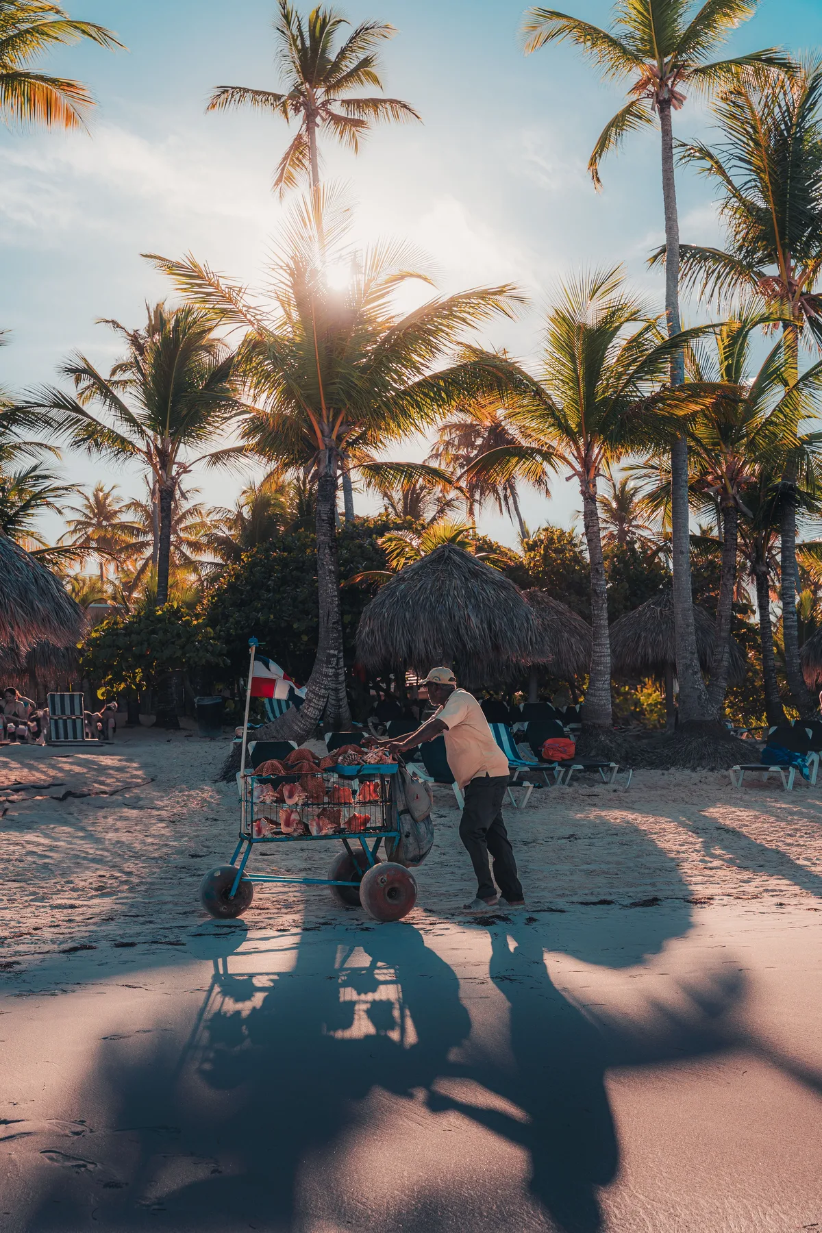 Coconut vendor beneath palms on a Punta Cana beach