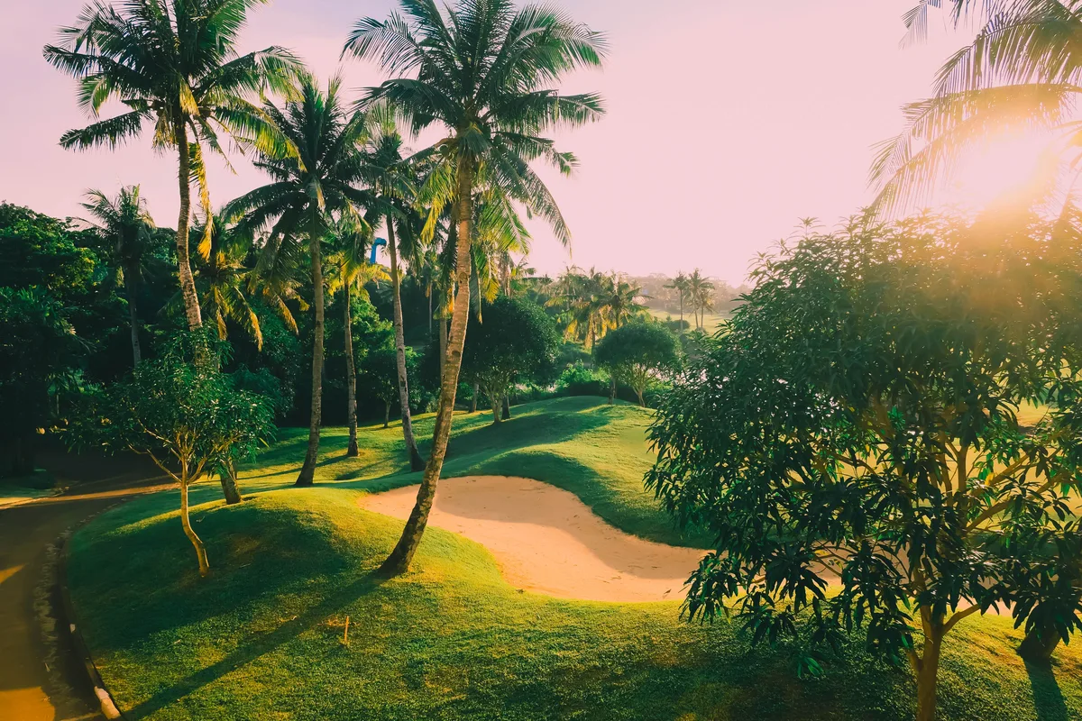 Tropical golf course with palms and sand bunkers