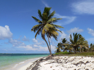 best family all inclusive dominican republic resorts